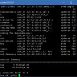 Uso de Putty. Conexión SSH. Comandos de GNU/Linux